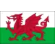 Logo Wales U21