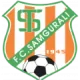 Logo Samgurali Tskh
